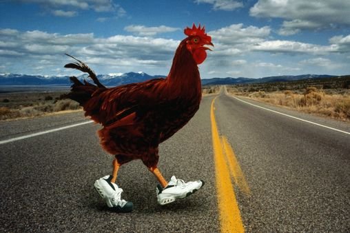 Chicken road, chicken road casino