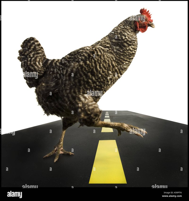 Descubre El Mundo de Chicken Road en España: Juego de Azar Online, chicken road oficial