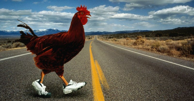 A look at chicken road casino